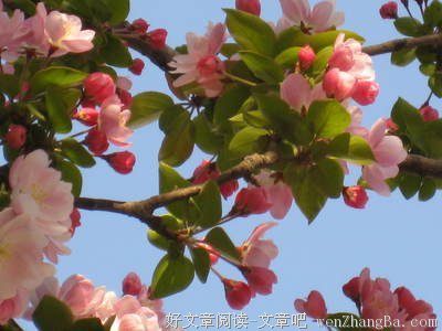 最全的《那些叫爱情的伤，我们总会痊愈的》经典的句子