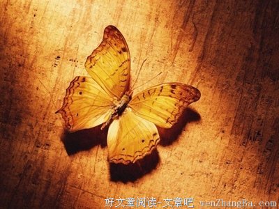 雪小禅名言名句