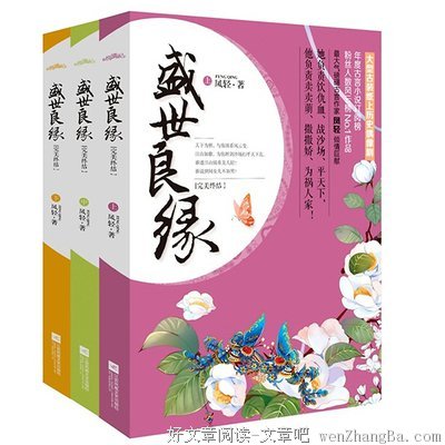 最经典的《错嫁之盛世王妃》经典语句