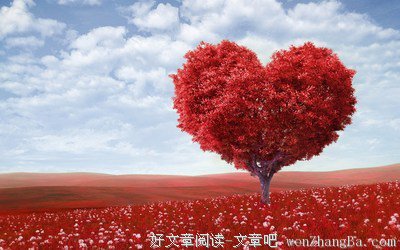 最经典的《一千滴眼泪》名句欣赏大全