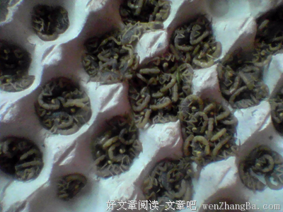 关于仁慈的名言