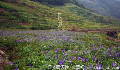 最全的《花田半亩》好段摘抄