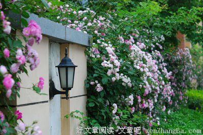 关于清醒的句子