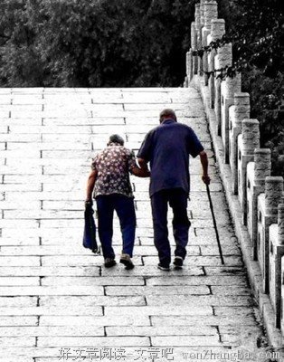 最新的《面包树上的女人》好段摘抄