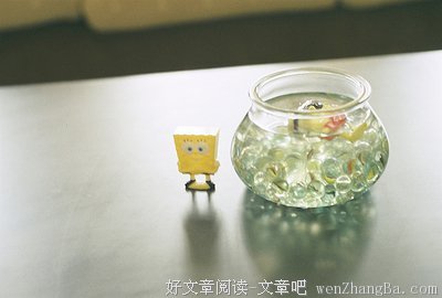 最全的《与青春有关的日子》经典语句