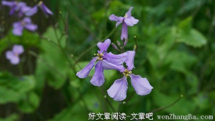 最新的托·富勒精彩语录