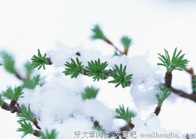 浑然的句子