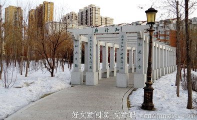 关于出乎意料的名言