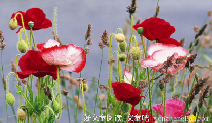 10条关于光亮的经典句子