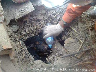 关于泪流满面的名言