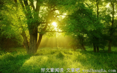 关于恍然的名言