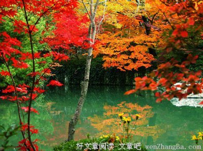 最全的《一帘幽梦》经典语录大全