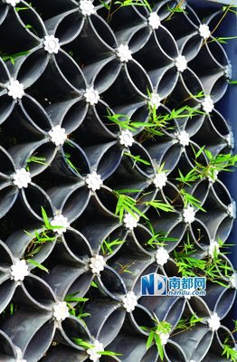 关于朱颜改的句子