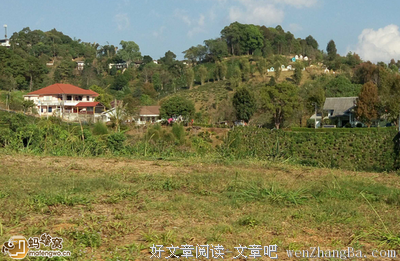 《你是我兄弟》经典名句