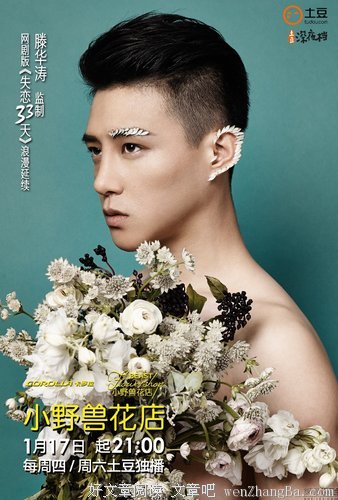 最全的《小野兽花店》语录摘抄
