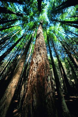 最新的《因果的真相》名句欣赏