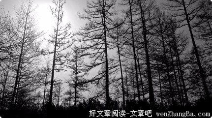 最经典的《朱生豪情书》经典句子大全