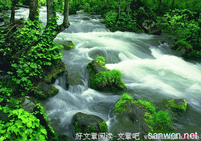 最新的《中庸》佳句摘抄大全