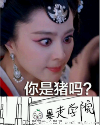 孟非名言大全