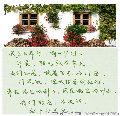 最新的《花田半亩》美文摘抄大全