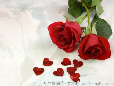 2017刘东升名言名句