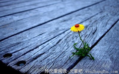 最经典的《温度》小说摘抄