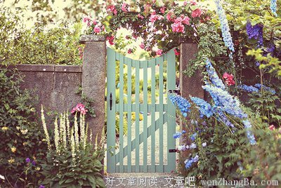 关于淡淡地的格言