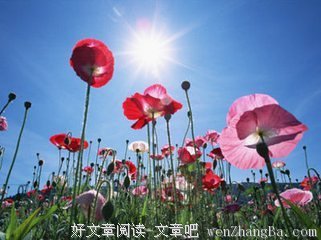 孙守名经典句子