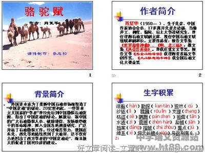 10条关于祥子的经典句子