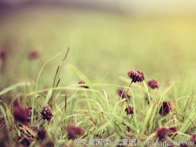 平和的名句_关于平和的名句