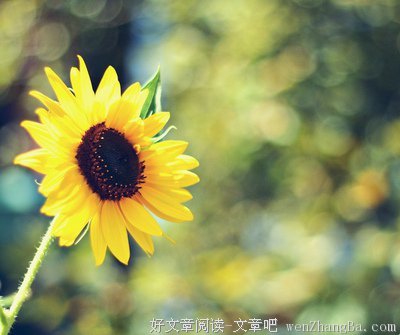 关于明朗的唯美句子