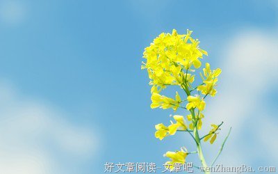 描写登峰造极的经典句子