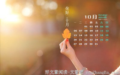 最全的《你好孤独》经典句子