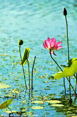 最新的《幻听》经典名句大全