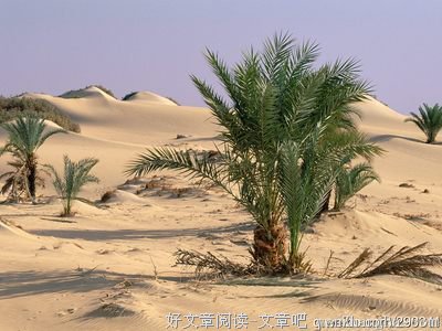 关于干旱的名言