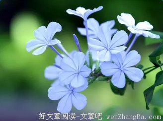 最全的《菜根谭》经典语句