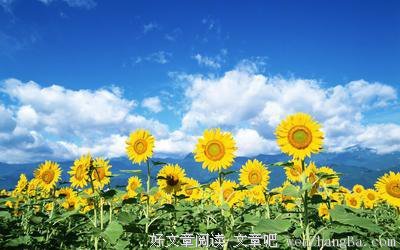 关于近墨者黑的唯美句子