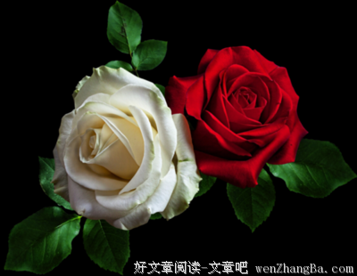 最全的《我想和你好好的》好段摘抄