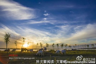 最经典的《深夜物语》经典名句