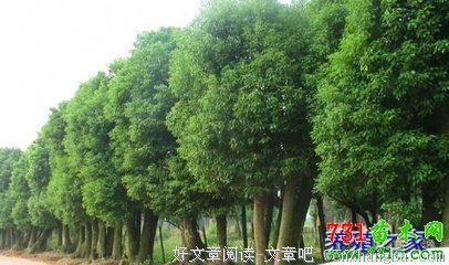 叶兆言10句经典名言