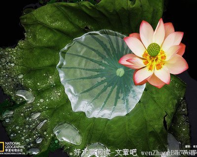 达摩难陀法师10句经典名言