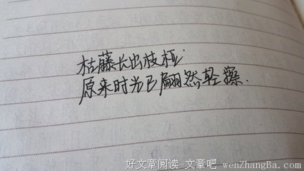宝贵的句子