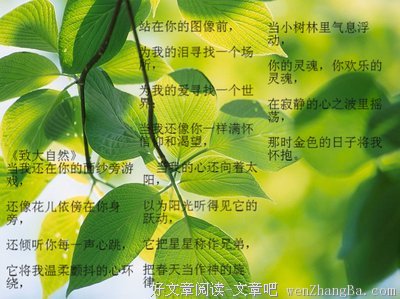 最全的荷尔德林经典句子