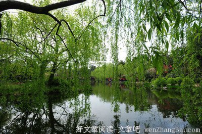 最全的《无限生机》经典句子