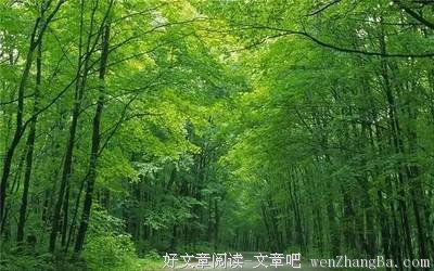 最新的《幽冥王妃》经典名句
