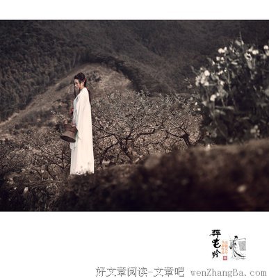最新的《葬花吟》语录摘抄