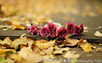 纳兰性德10句经典名言