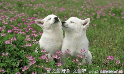 关于激扬的格言