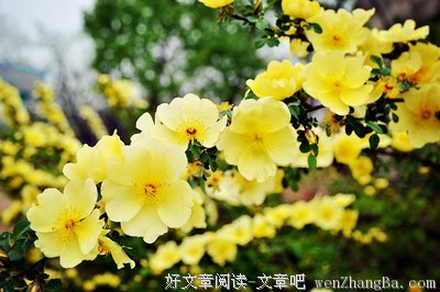 最新的庆山经典名句