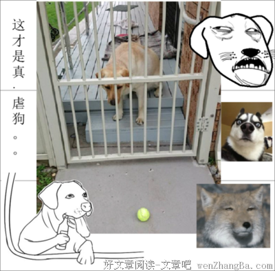 最经典的《遥远的她》经典名句